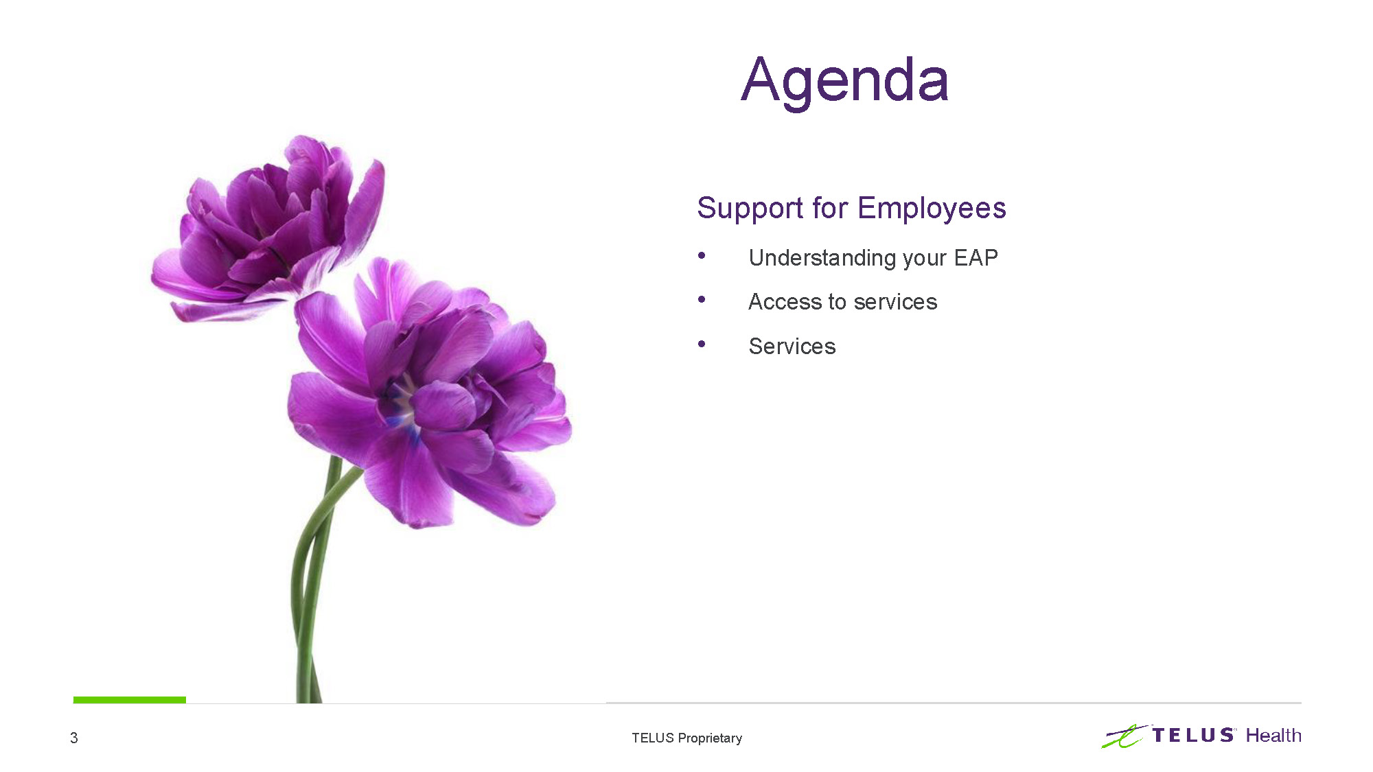 TELUS-Health-EAP-Service-Overview_Page_03